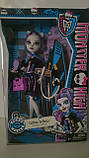 Лялька Monster High Кетрін де Мяу Скарместр — New Scaremester Catrine DeMew, фото 3