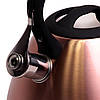 Чайник 3л з нержавіючої сталі зі свистком і чорною бакелітовою ручкою (бронзовий), фото 5