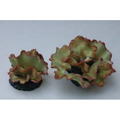 Vitality SH 330S - корал для акваріума