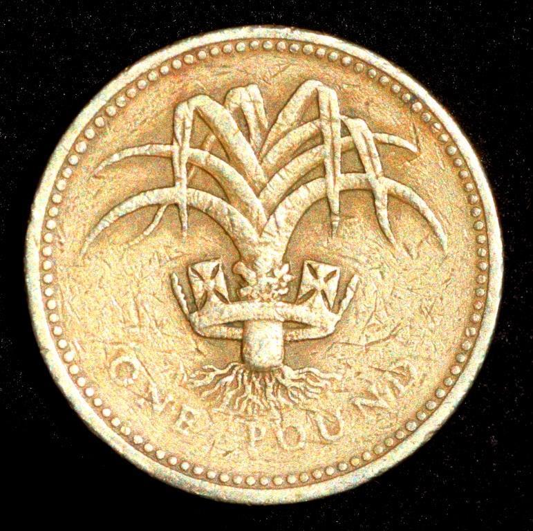 Монета Великобританії 1 фунт 1985 р., фото 1