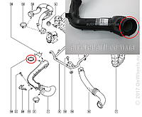 Уплотнительное кольцо патрубка интеркулера на Рено Трафик 2006-2009 2.0dCi Renault (оригинал) 7701066088