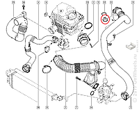 Уплотнительное кольцо патрубка интеркулера на Рено Мастер III 2.3dCi Renault (оригинал) 7701066088