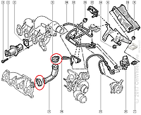 Хомут трубки клапана EGR на Рено Трафик 01-> 1.9dCi Renault (Оригинал) - 7703083504