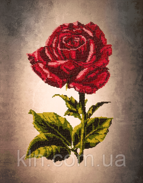 Картини для вишивки бісером на полотні з малюнком FLF-009 Троянда 30*40 Чарівна країна якісний