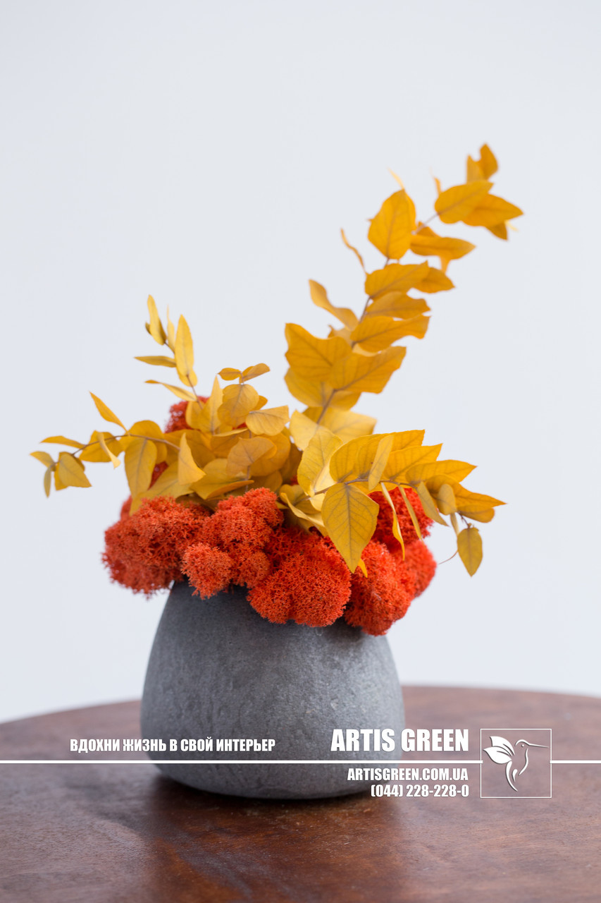 Композиція зі стабілізованим мохом "Eucalyptus" від компанії "Artis Green", orange, S17|1, фото 1