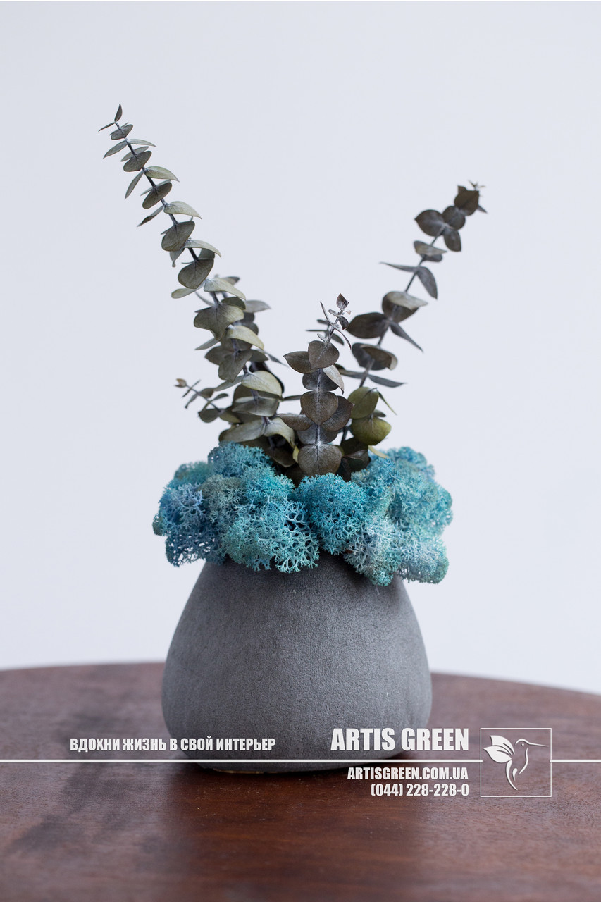 Композиція зі стабілізованим мохом "Eucalyptus" від компанії "Artis Green, blue, S17|2