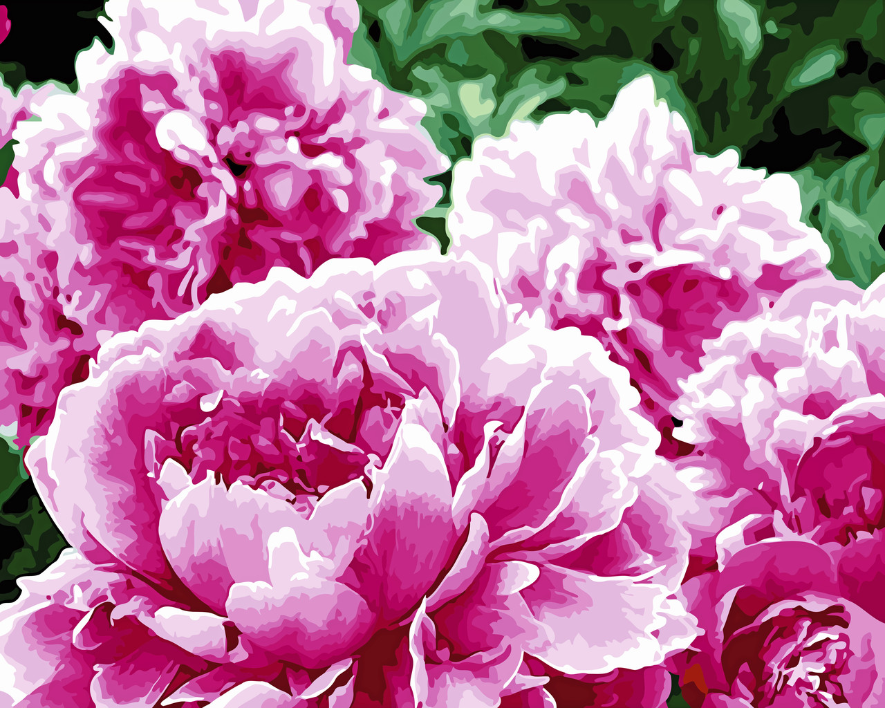 Художній творчий набір, картина за номерами Цвітіння півоній, 50x40 см, «Art Story» (AS0523)