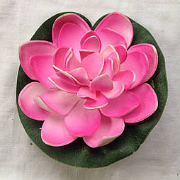 Лотос латексний, водоплавний маленький 11 см