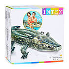 Надувний плотик Intex 57551 Алігатор розмір 170*86 см, фото 3