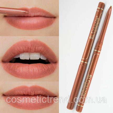 Олівець для губ контурний механічний Perfect Lips No432 Bronze El Corazon, фото 1