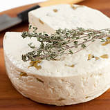 Закваска для сиру Качота (на 10 літрів молока), фото 2