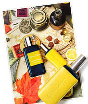 Atelier Cologne Citron d'Erable одеколон 100 ml. (Тестер Ательє Колонь Цітрон д'Ерабл), фото 6