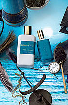 Atelier Cologne Philtre Ceylan одеколон 100 ml. (Ательє Колонь Фільтр Цейлон), фото 4