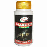Шиладжит / Shilajit, 50gm - 150 tab