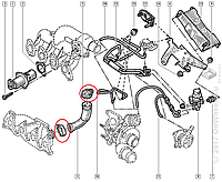 Хомут трубки клапана EGR на Рено Кенго 1.9dCi Renault (Оригинал) - 7703083504