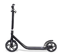 Самокат прогулочный Frenzy Recreational Scooter 250 mm black