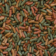 Корм на вагу  Tropical BioRept W - корм для водних черепах 300 г