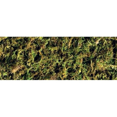 Hagen ExoTerra Forest Moss PT-3095 лесной мох