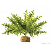 Hagen ExoTerra Boston Fern Small PT-2990