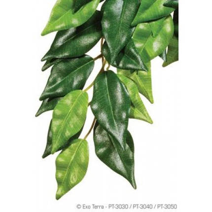 Hagen ExoTerra Ficus Large PT-3050, фото 1