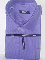 Сорочка чоловіча з коротким рукавом Bendu vk-0015 фіолетова в смужку класична