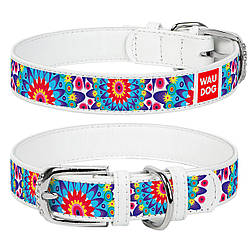 Нашийник із натуральної шкіри з принтом "Квіти",WAUDOG
