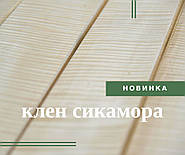 Знайомтеся, КЛЕН СІКАМОРА!