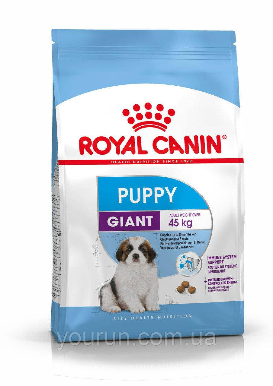 Royal Canin (Роял Канін) Giant Puppy - Сухий корм для щенят гігантських порід від 2 до 8 міс.15кг