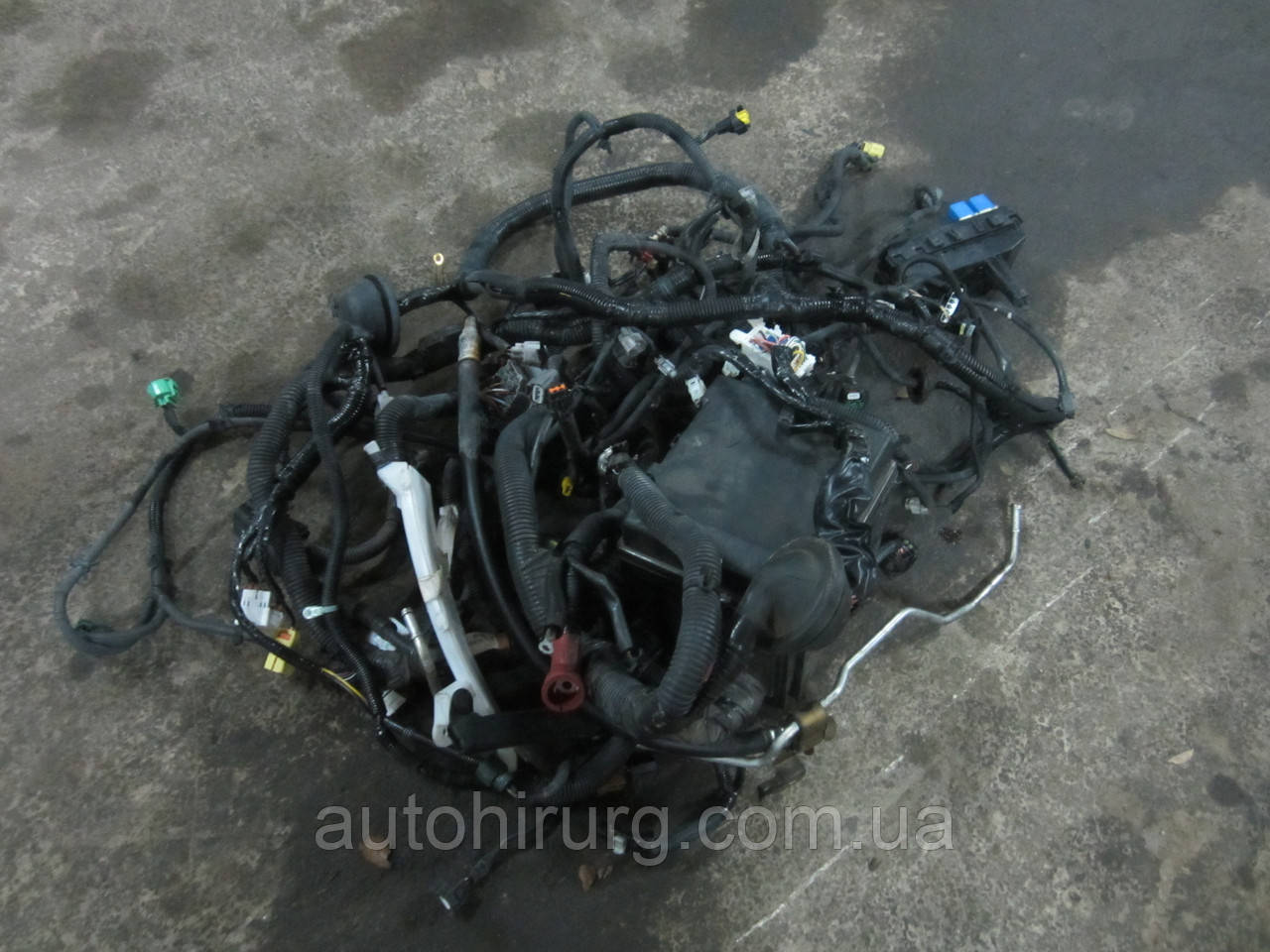 Проводка двигуна Nissan Armada (24011-ZR00A)