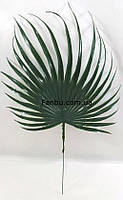 Круглый лист пальмы 30*18см,искусственный пластиковый темно зеленый