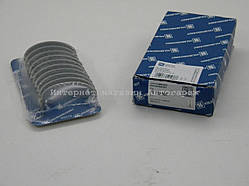 Вкладиші корінні (STD) на Рено Кенго 01-> 1.9 dCi — групи kolbenschmidt (Німеччина) 77753600