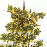 Кущ листя клен жовтий. осіннє листя 97 см, фото 2