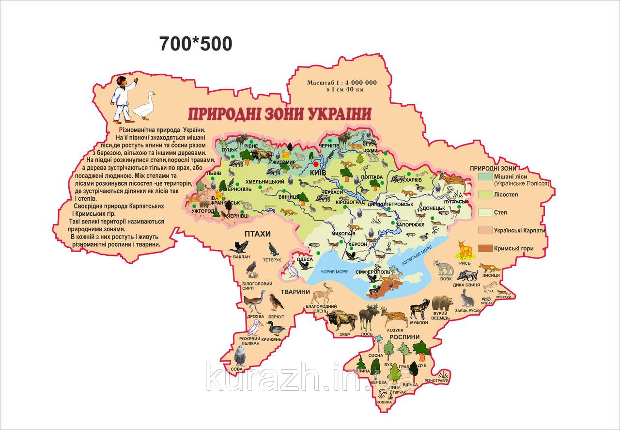 Карта «Природні зони України»