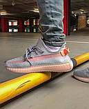 Жіночі кросівки Adidas Yeezy Boost 350 Grey Trfrm, фото 6