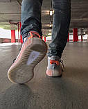 Жіночі кросівки Adidas Yeezy Boost 350 Grey Trfrm, фото 5