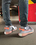 Жіночі кросівки Adidas Yeezy Boost 350 Grey Trfrm, фото 4