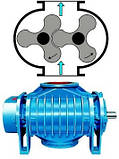 Мобільний вакуумний навантажувач BlowVac 2100 Diesel Conic, фото 8