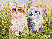 Кошенята
