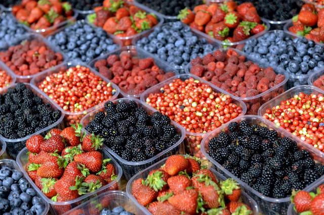 Лотки для збору ягід картинка Лотки для збору ягід фото