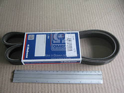 Ремінь 40524, 40525 6PK-1275