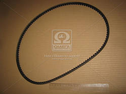 Зубчастий Ремінь AVX101025 ЕЛЬ ВОЛГА