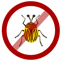 Засоби для боротьби з жуками