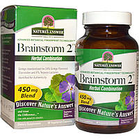 Nature's Answer, Brainstorm 2, комбінація трав, 450 мг, 90 капсул вегетаріанських