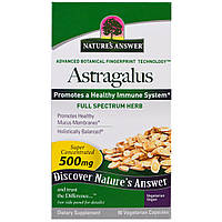 Nature's Answer, Астрагал, 500 мг, 90 рослинних капсул