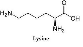 Лізин Lysine