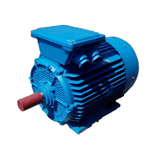 електродвигун 5амн