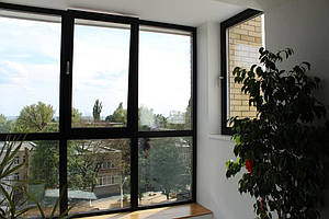 Алюминиевые окна в квартире 1