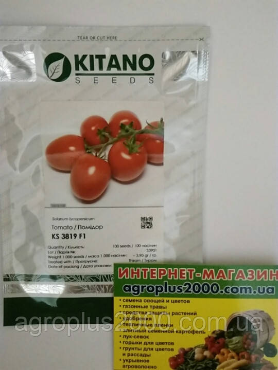 Насіння Томат індетермінантний Банті (KS 3819) F1, 100 насіння Kitano Seeds