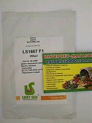 Насіння Кавун споріднюване LS 1667 F1, 250 насіння Lucky Seed