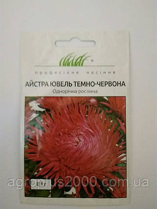 Насіння Астра Ювіль Темно-Червоне 0,1 грама Satimex, фото 1